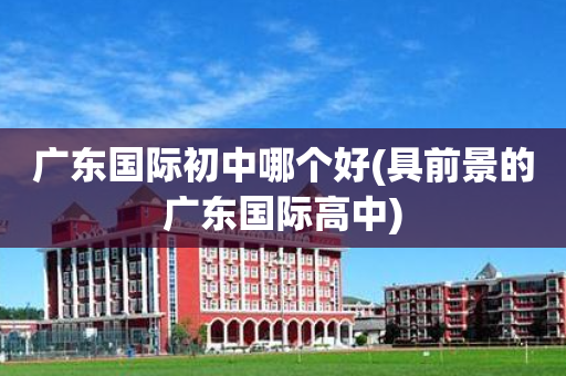 广东国际初中哪个好(具前景的广东国际高中)