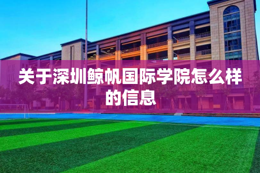 关于深圳鲸帆国际学院怎么样的信息