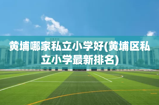 黄埔哪家私立小学好(黄埔区私立小学最新排名)