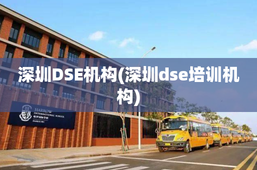 深圳DSE机构(深圳dse培训机构)
