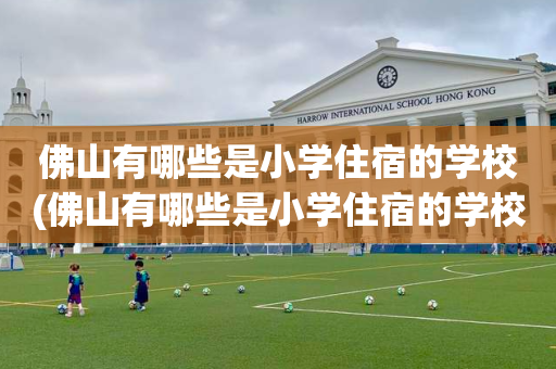 佛山有哪些是小学住宿的学校(佛山有哪些是小学住宿的学校名单)