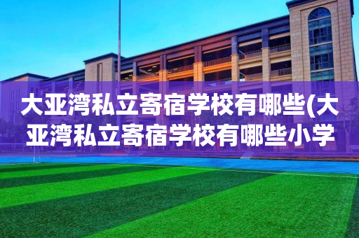 大亚湾私立寄宿学校有哪些(大亚湾私立寄宿学校有哪些小学)