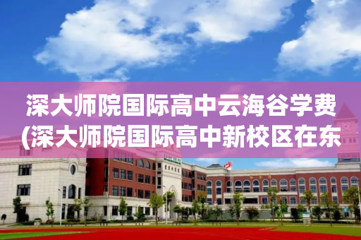 深大师院国际高中云海谷学费(深大师院国际高中新校区在东部华侨城?)