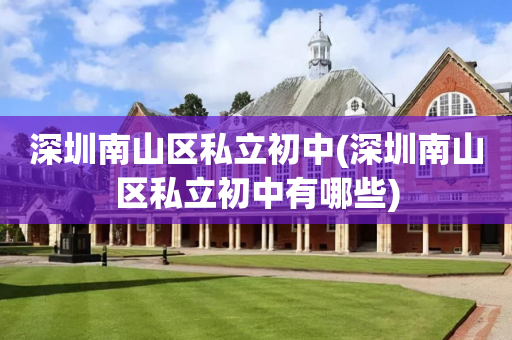 深圳南山区私立初中(深圳南山区私立初中有哪些)