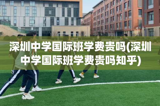 深圳中学国际班学费贵吗(深圳中学国际班学费贵吗知乎)