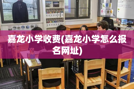 嘉龙小学收费(嘉龙小学怎么报名网址)