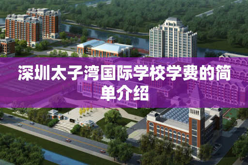 深圳太子湾国际学校学费的简单介绍