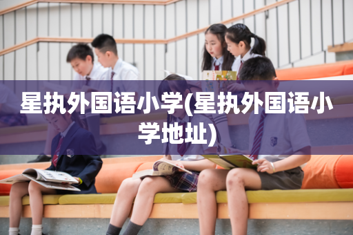 星执外国语小学(星执外国语小学地址)