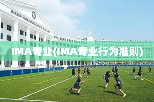 IMA专业(IMA专业行为准则)