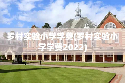 罗村实验小学学费(罗村实验小学学费2022)