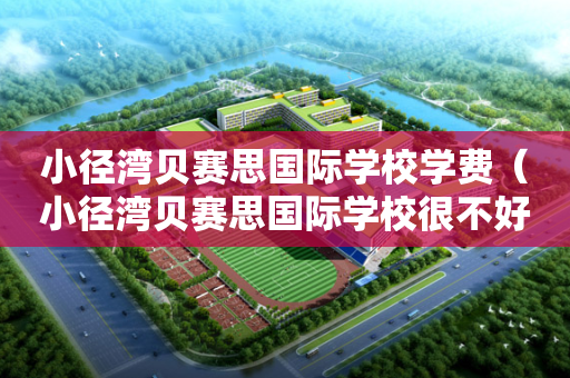 小径湾贝赛思国际学校学费（小径湾贝赛思国际学校很不好）