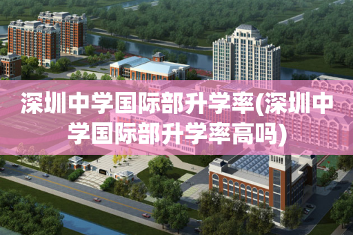 深圳中学国际部升学率(深圳中学国际部升学率高吗)