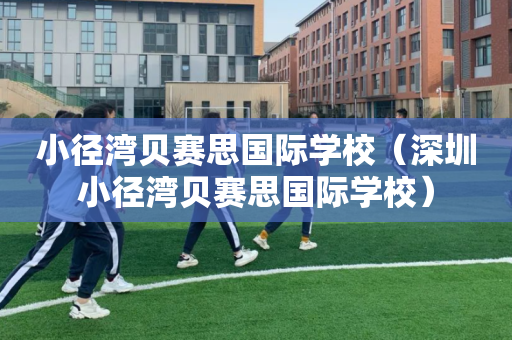 小径湾贝赛思国际学校（深圳小径湾贝赛思国际学校）