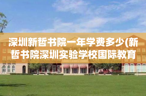 深圳新哲书院一年学费多少(新哲书院深圳实验学校国际教育基地)