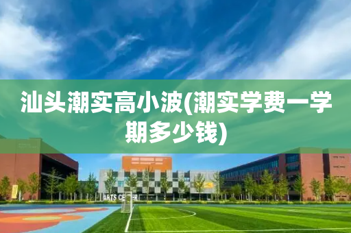 汕头潮实高小波(潮实学费一学期多少钱)