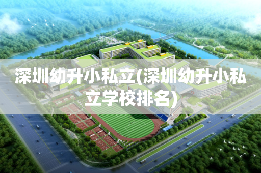 深圳幼升小私立(深圳幼升小私立学校排名)