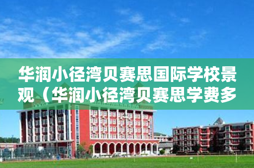 华润小径湾贝赛思国际学校景观（华润小径湾贝赛思学费多少）