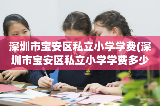 深圳市宝安区私立小学学费(深圳市宝安区私立小学学费多少)