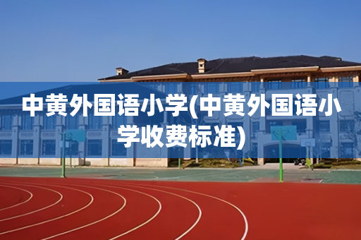 中黄外国语小学(中黄外国语小学收费标准)