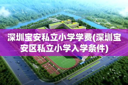 深圳宝安私立小学学费(深圳宝安区私立小学入学条件)