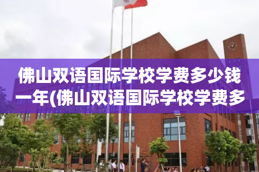 佛山双语国际学校学费多少钱一年(佛山双语国际学校学费多少钱一年啊)