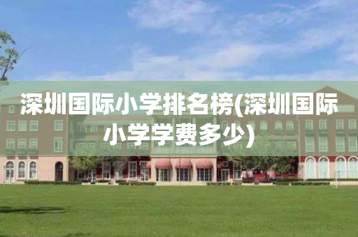 深圳国际小学排名榜(深圳国际小学学费多少)