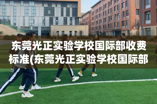 东莞光正实验学校国际部收费标准(东莞光正实验学校国际部收费标准表)