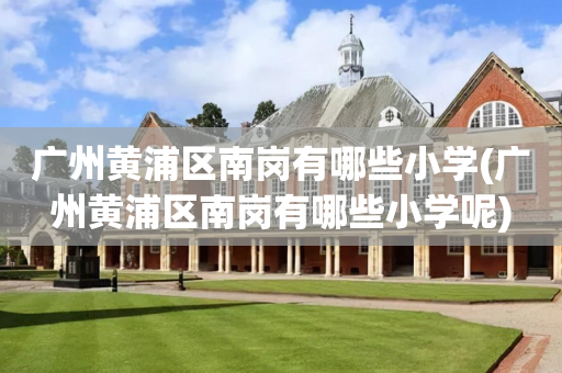 广州黄浦区南岗有哪些小学(广州黄浦区南岗有哪些小学呢)