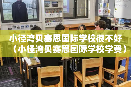 小径湾贝赛思国际学校很不好（小径湾贝赛思国际学校学费）