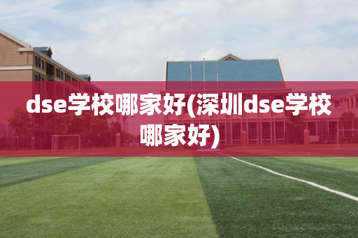 dse学校哪家好(深圳dse学校哪家好)
