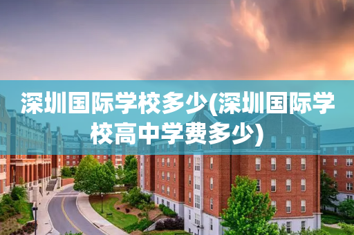 深圳国际学校多少(深圳国际学校高中学费多少)