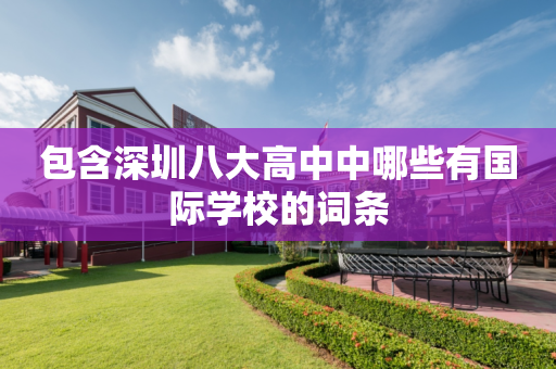 包含深圳八大高中中哪些有国际学校的词条