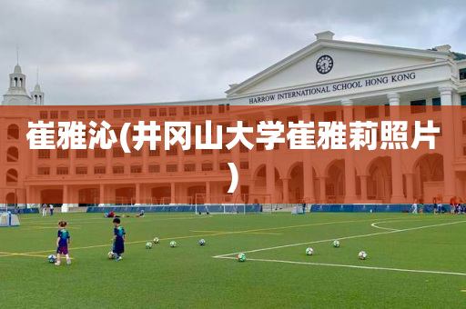 崔雅沁(井冈山大学崔雅莉照片)