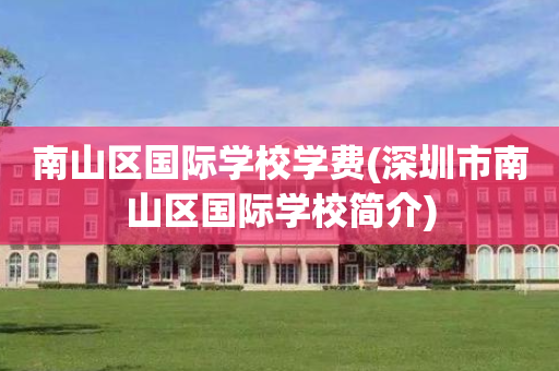 南山区国际学校学费(深圳市南山区国际学校简介)