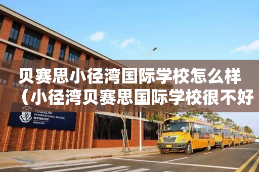 贝赛思小径湾国际学校怎么样（小径湾贝赛思国际学校很不好）