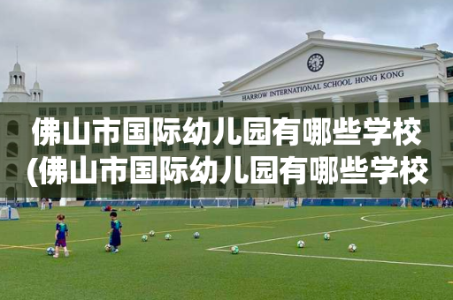 佛山市国际幼儿园有哪些学校(佛山市国际幼儿园有哪些学校好)