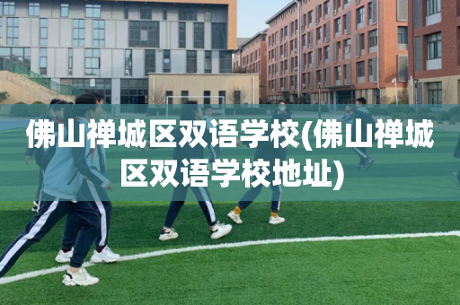 佛山禅城区双语学校(佛山禅城区双语学校地址)