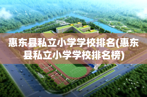惠东县私立小学学校排名(惠东县私立小学学校排名榜)
