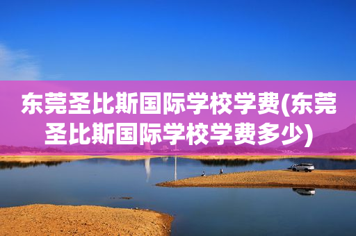 东莞圣比斯国际学校学费(东莞圣比斯国际学校学费多少)
