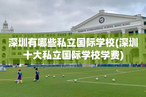 深圳有哪些私立国际学校(深圳十大私立国际学校学费)
