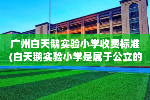广州白天鹅实验小学收费标准(白天鹅实验小学是属于公立的吗)