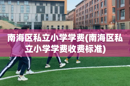 南海区私立小学学费(南海区私立小学学费收费标准)