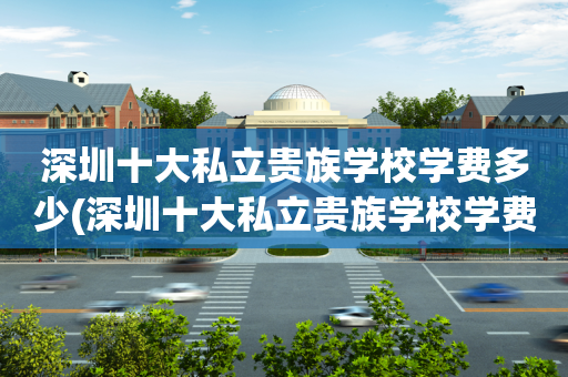 深圳十大私立贵族学校学费多少(深圳十大私立贵族学校学费多少钱一年)