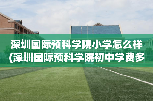 深圳国际预科学院小学怎么样(深圳国际预科学院初中学费多少)