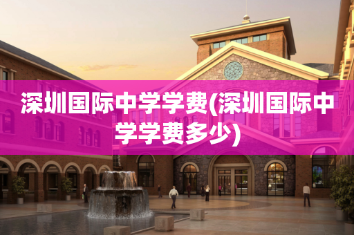 深圳国际中学学费(深圳国际中学学费多少)
