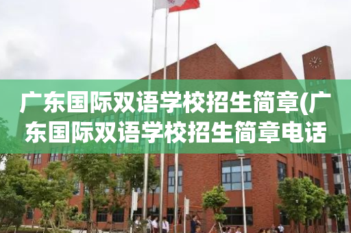 广东国际双语学校招生简章(广东国际双语学校招生简章电话)