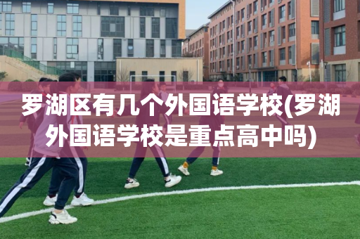 罗湖区有几个外国语学校(罗湖外国语学校是重点高中吗)