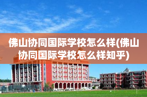 佛山协同国际学校怎么样(佛山协同国际学校怎么样知乎)