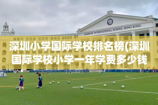 深圳小学国际学校排名榜(深圳国际学校小学一年学费多少钱)