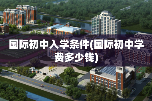 国际初中入学条件(国际初中学费多少钱)